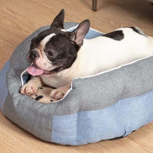 Kassivoodi – vett hülgav suurus P 22 × L 22 × K 4 cm, värv SnuggleSafe Microwave Heating Pad (Snugglesafe)