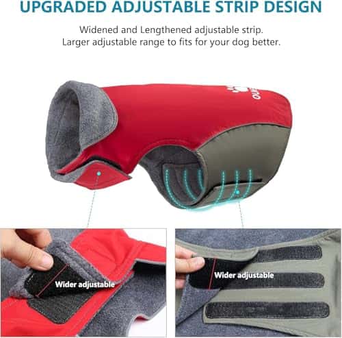 Koera mantel – veekindel, helkiv, soe (IREENUO)