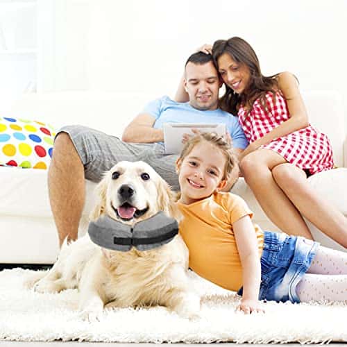 Taastumiskrae (Elizabethi krae) (Nobleza)