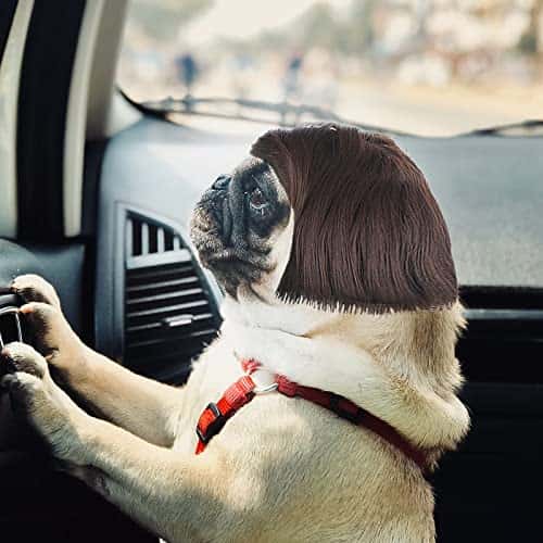 Koera riideese – reguleeritav suurus Medel, värv must (Cobee)