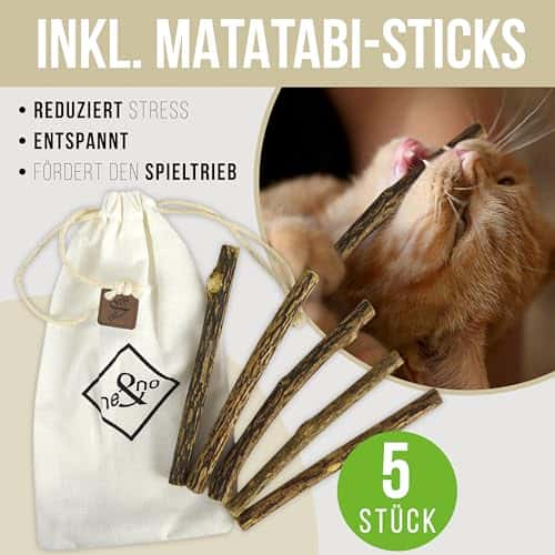 Kassivoodi värv Anthrazit (ne&no)