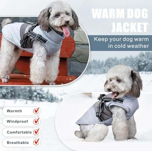 Koera riideese – veekindel, helkiv, soe (Oslueidy)