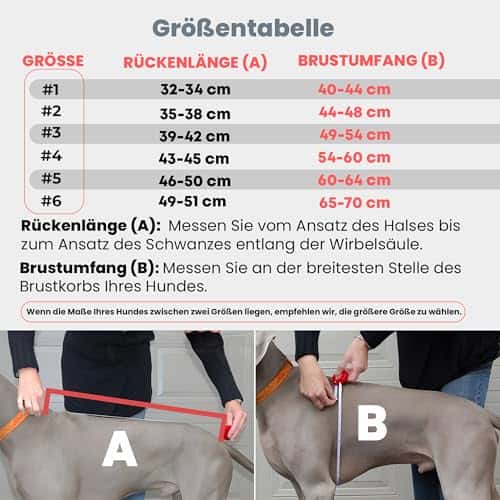 Koera vihmamantel – veekindel, helkiv, tuulekindel suurus #4, värv hall (DOGOPAL)