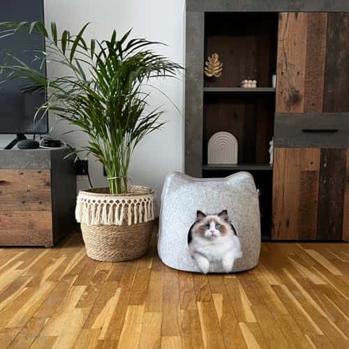 Kassivoodi suurus Groß, värv hall (EL ÁTICO PETS)