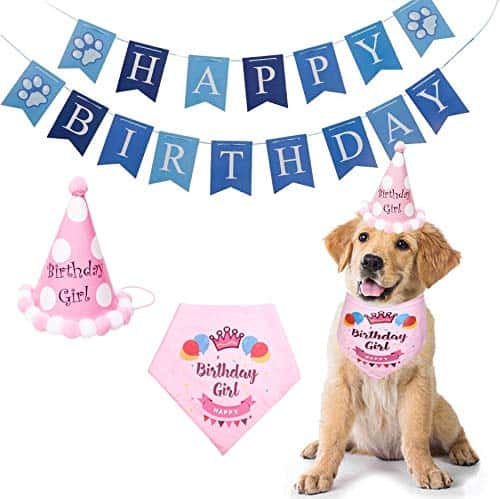 Koera riideese suurus 2 Count (Pack of 1), värv roosa (SUOXU)