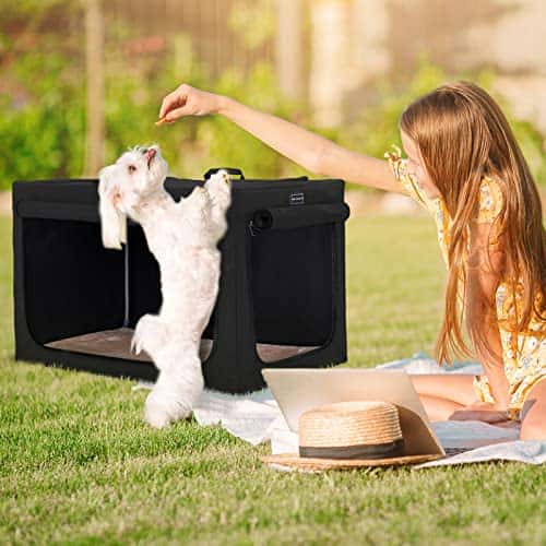 Lemmiklooma kandekott – reguleeritav, kokkupandav (Petsfit)