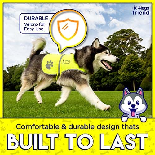 Koera turvavest – kõrge nähtavus suurus XS, värv oranž (4LegsFriend)