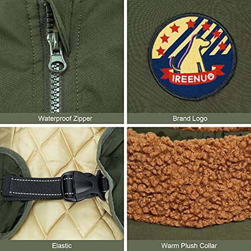 Koera mantel – veekindel, reguleeritav (IREENUO)