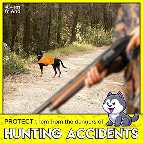 Koera turvavest – kõrge nähtavus suurus XS, värv oranž (4LegsFriend)