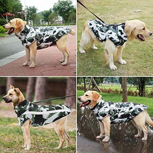 Koera mantel – soe, tuulekindel (Idepet)