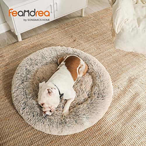 Koeravoodi – kohev, pestav suurus P 80 × L 80 × K 20 cm, värv Ombré khaki (Feandrea)