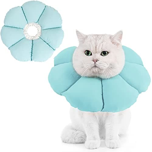 Taastumiskrae (Elizabethi krae) – pehme (Avont)