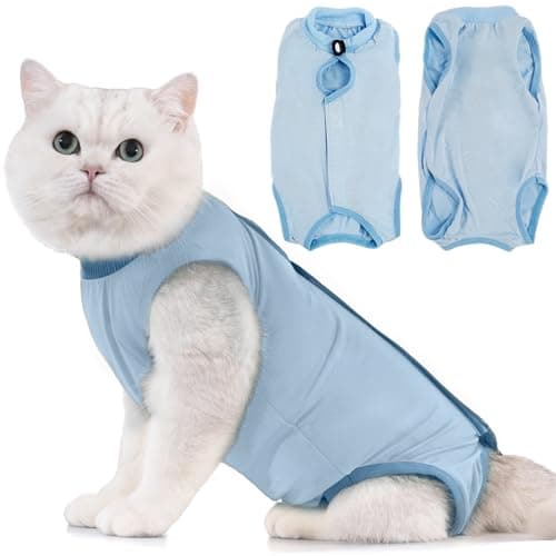 Taastumisbody (kassile/koerale) (Avont)