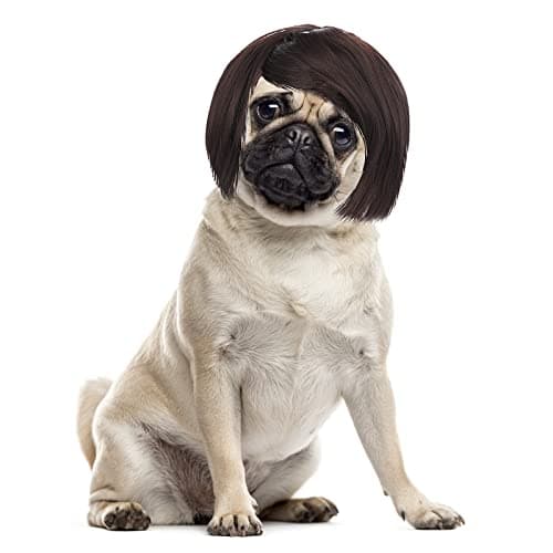 Koera riideese – reguleeritav suurus Medel, värv must (Cobee)