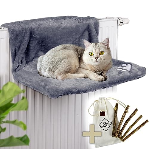 Kassivoodi värv Anthrazit (ne&no)