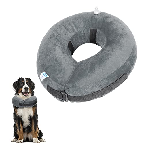 Taastumiskrae (Elizabethi krae) XL (24.4+ inches) (Nobleza) - Image 8