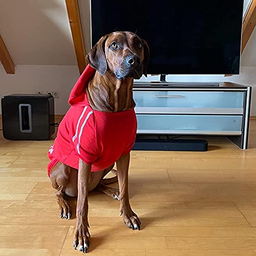 Koera kampsun – soe 4XL must (Eastlion) - Image 9