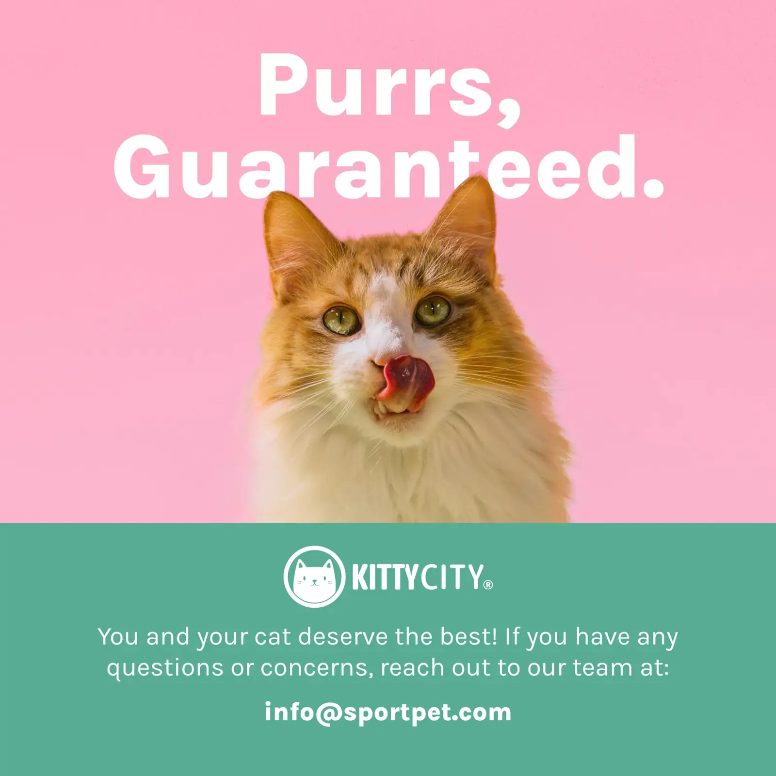 Kitty City CM-10172 lemmikloomad pakend ja tarvikud 8