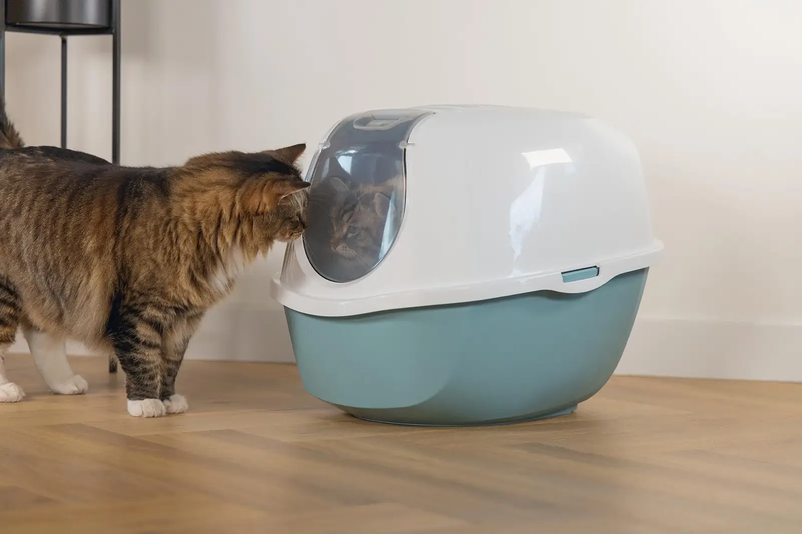 Plastikust liivakast Smart Cat profiilvaates