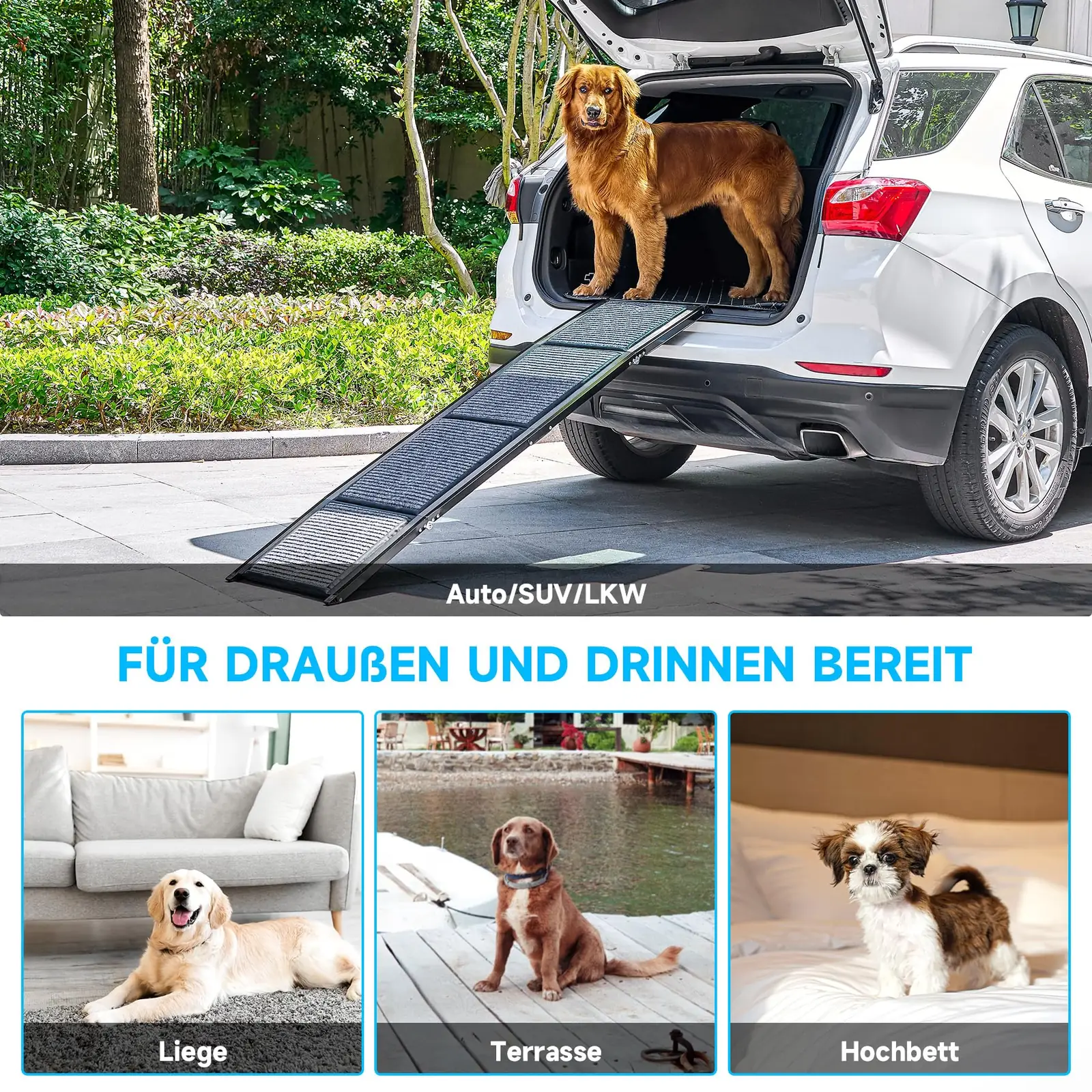CO-Z FDR-6317 koera ramp tagantvaade