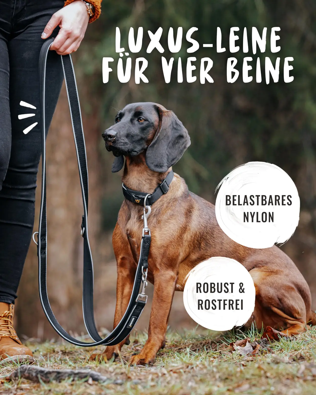 2 30 m pikkune Rudelkönig rihm laotatult