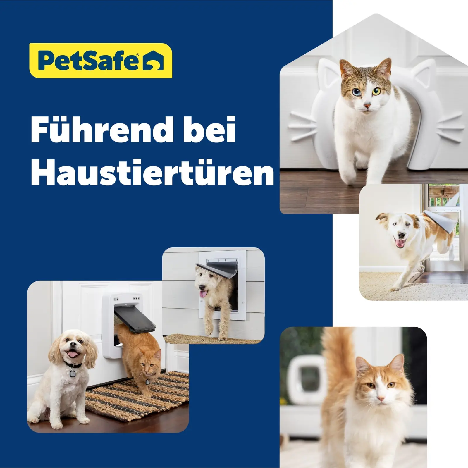 PetSafe PPA19-15794 tõkked toote esivaade 6