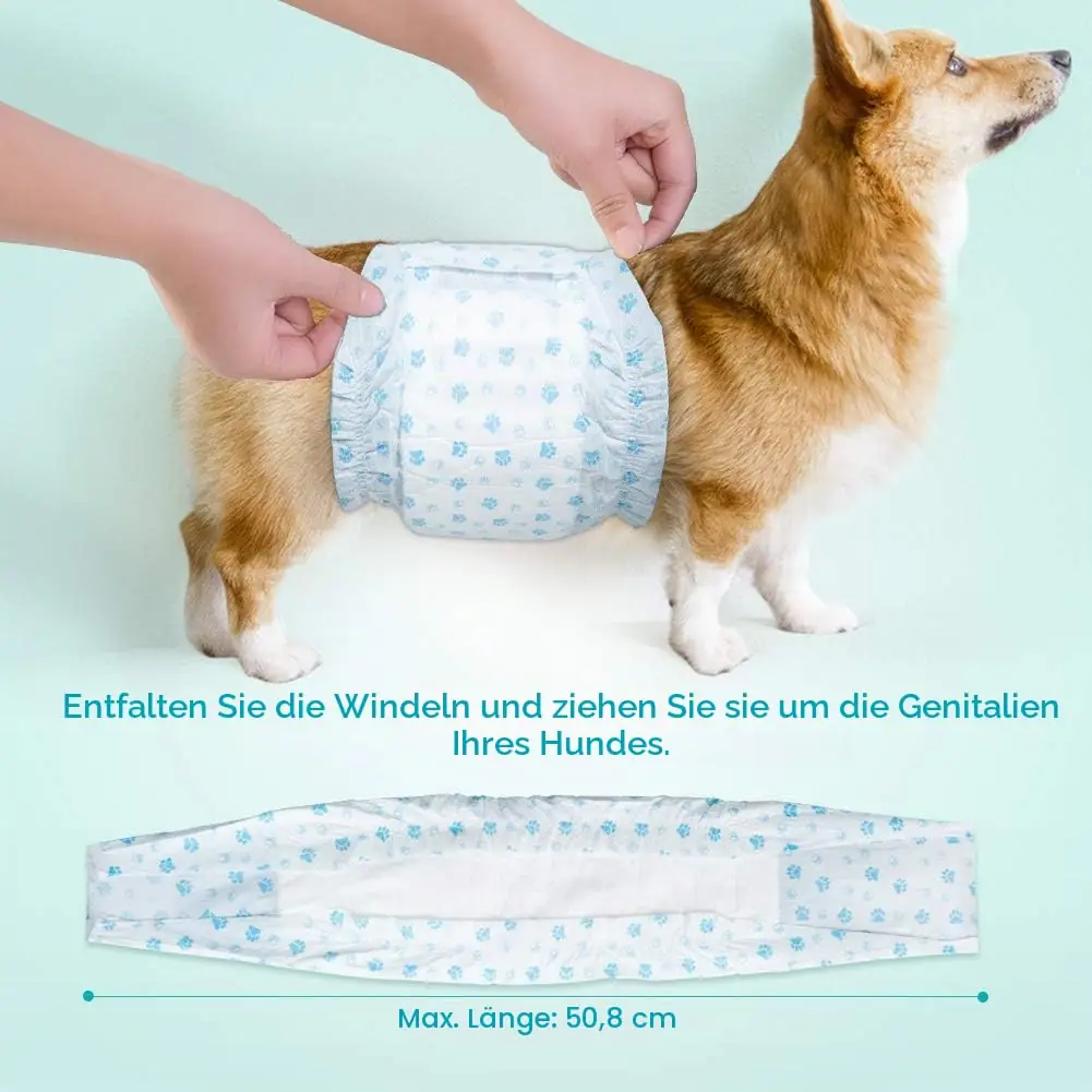 Pakk 52 tükki Flying Paws meestele