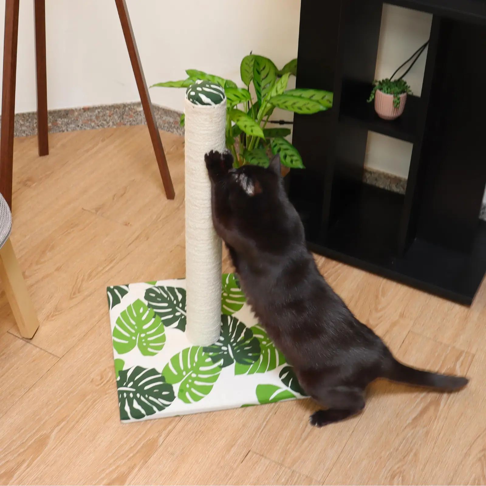 Sisal-nöör ja mängupall Croci kraapimispuul