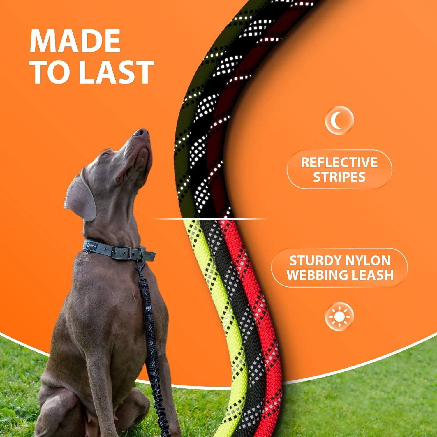 SparklyPets Soft Portable Running Dog Leash Kit L004 treeningrihmad tagantvaade