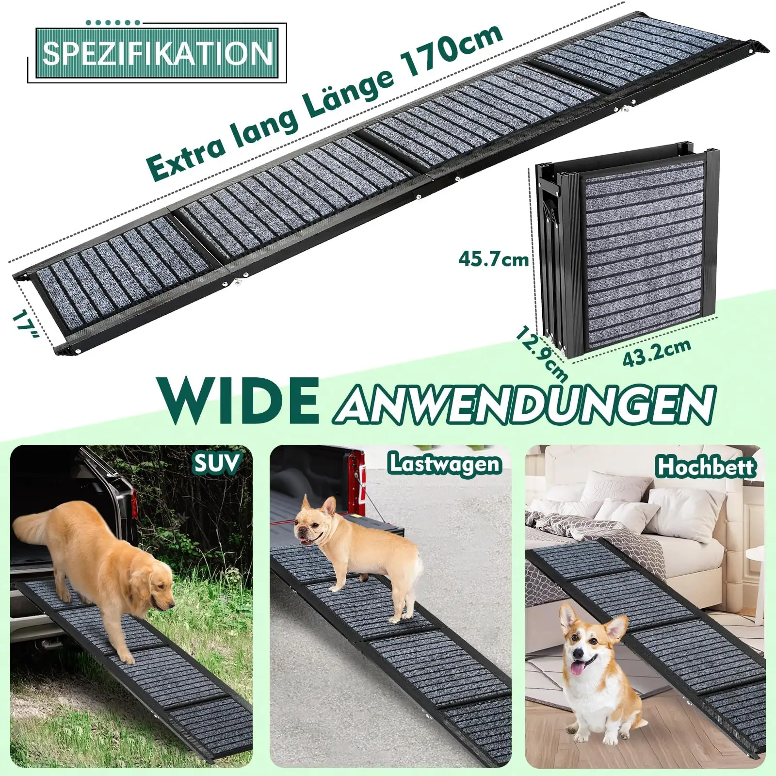 Snagle Paw Hunderampe Auto kohrampide jaoks tagantvaade