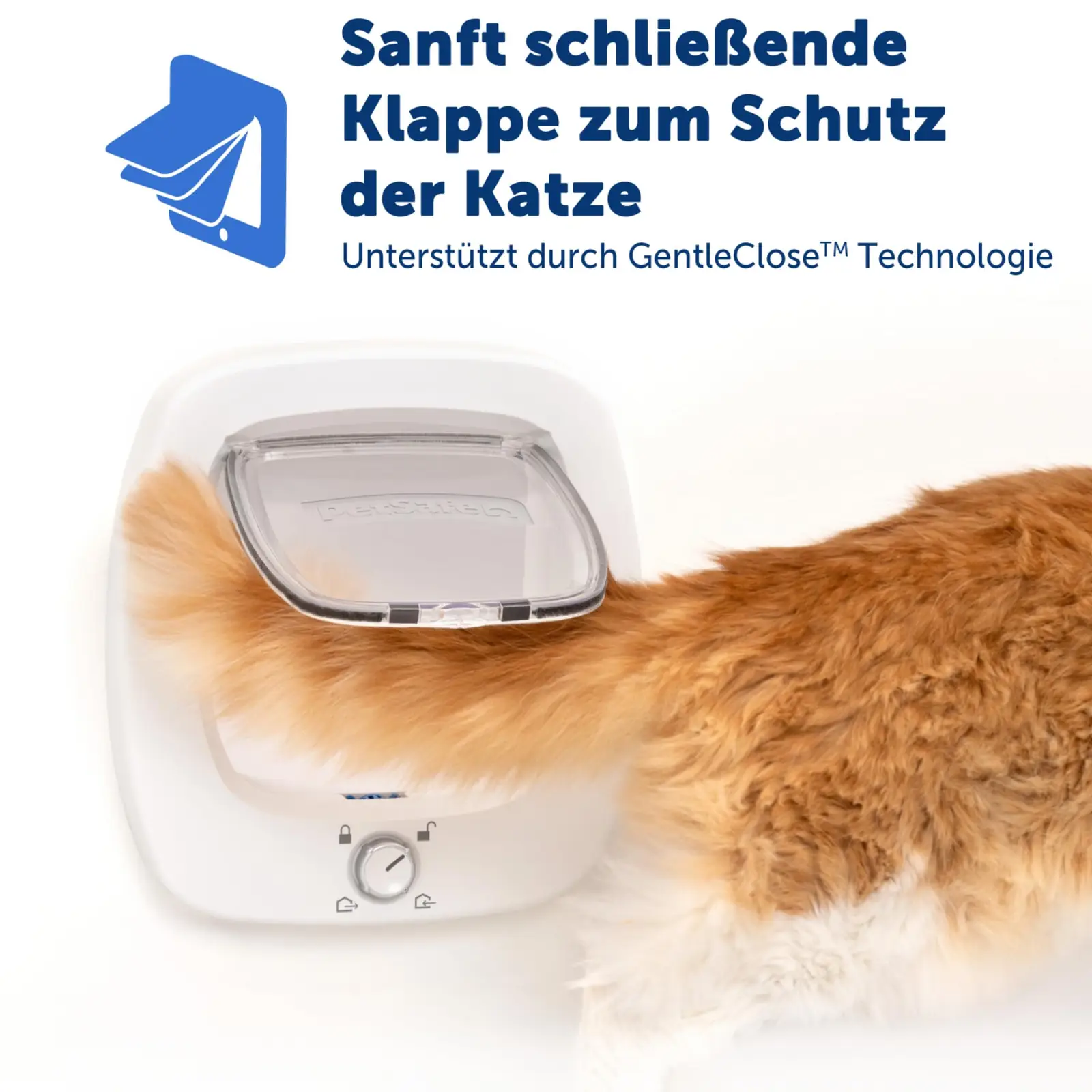 PetSafe ZPA10-17883 tõkked tagantvaade
