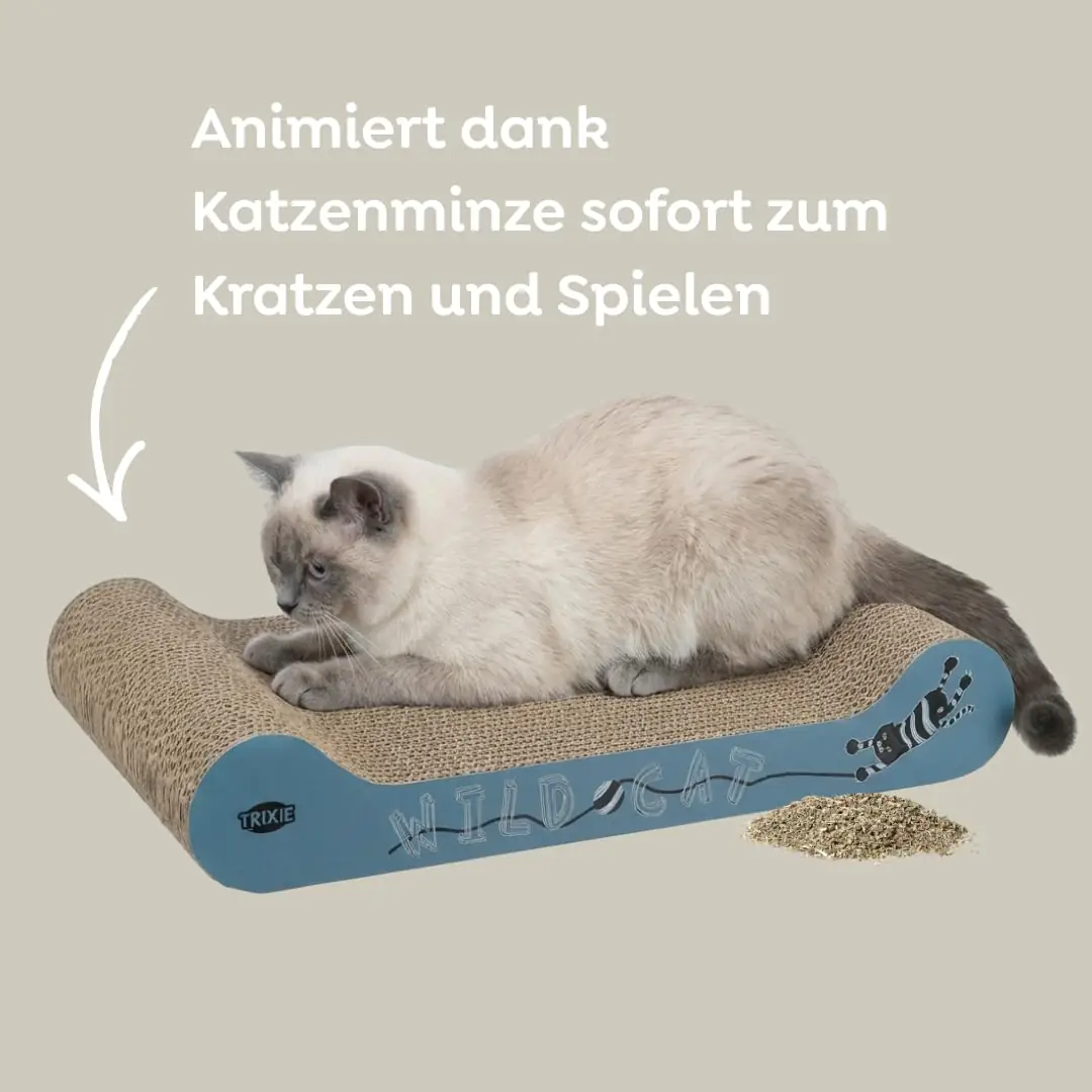 Üks tükk kraapimismatti pakendis