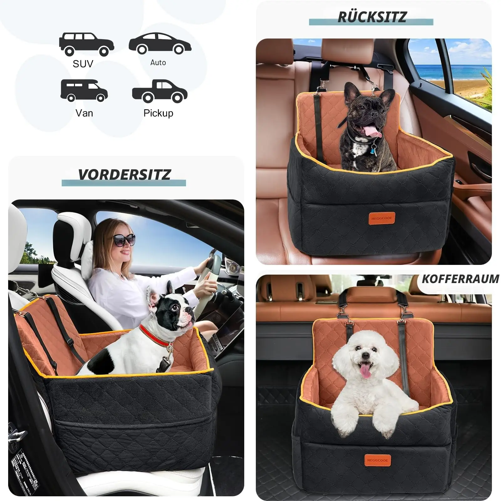 HEGGCOOE car seat-L koera- ja autoistmed tagantvaade