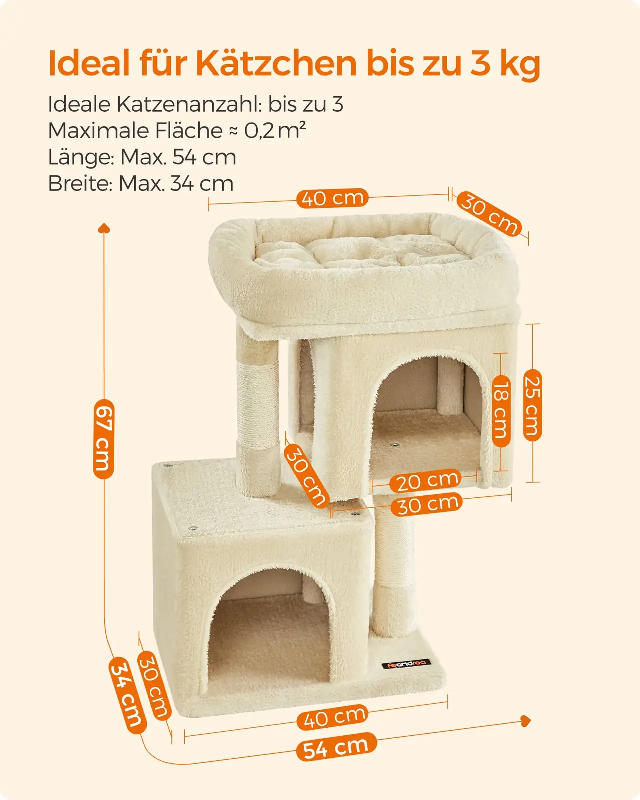 Feandrea lemmikloomad detailne lähivaade 7