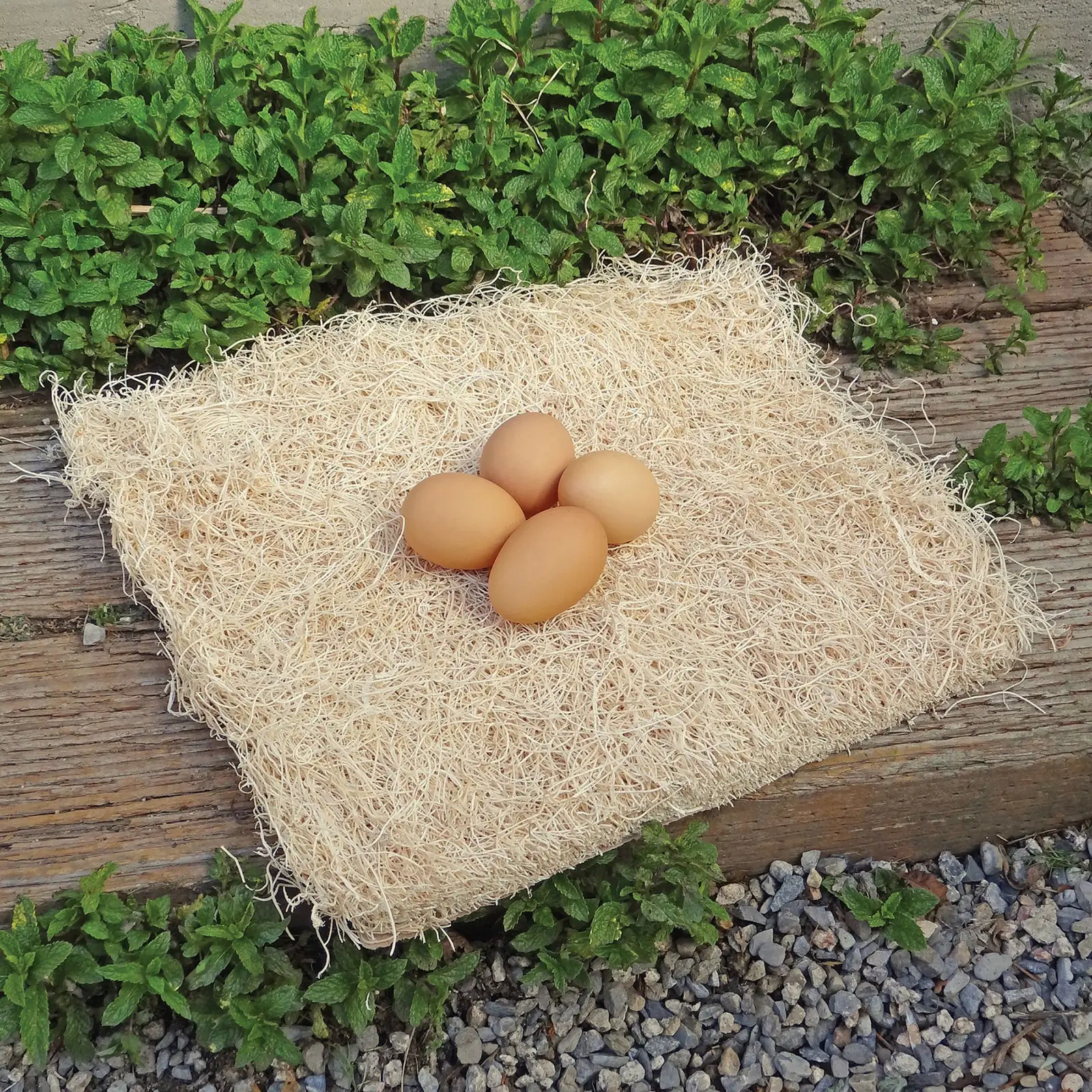 Komplekt 10 puidust nistualust pakendis