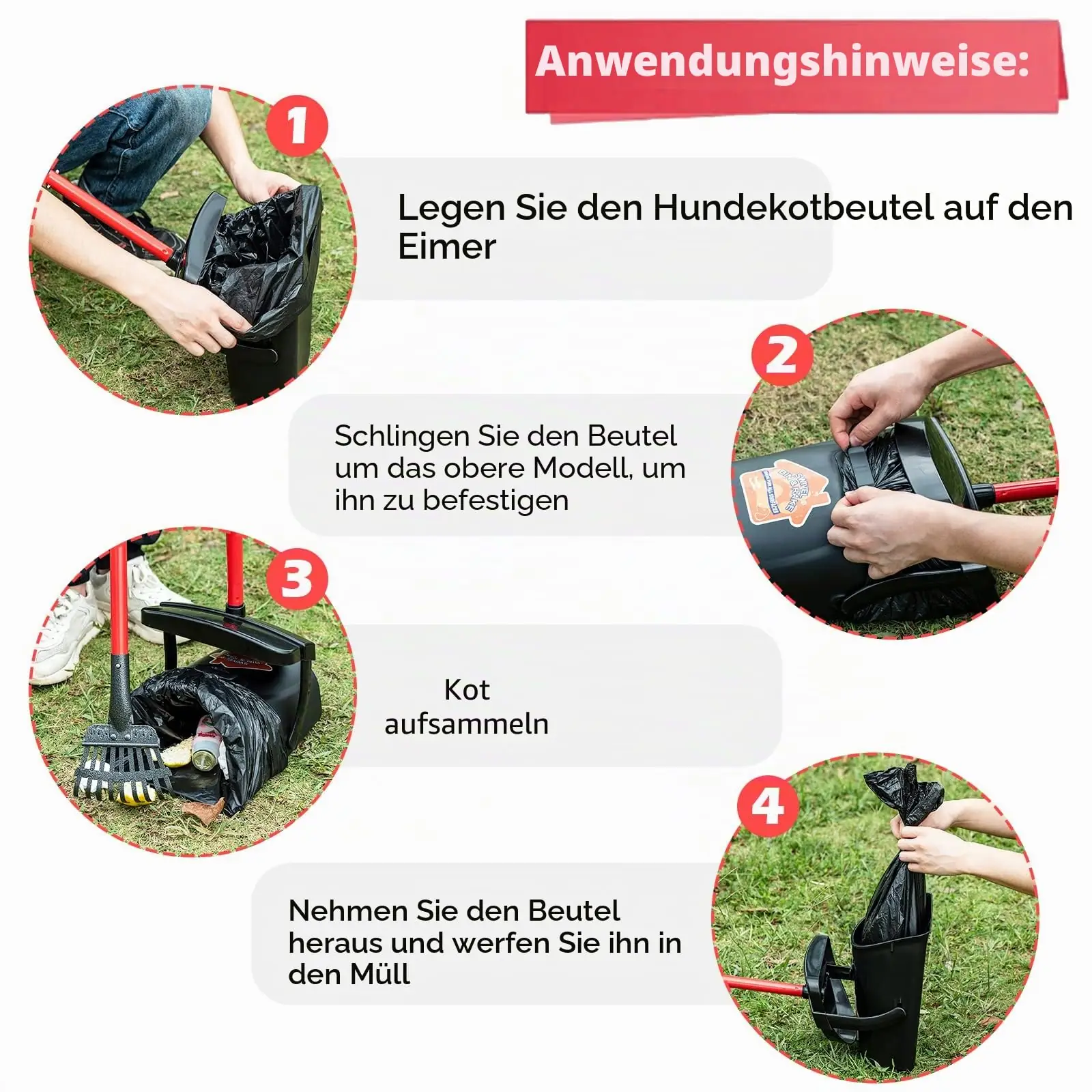 BANORES kotskühvlid tagantvaade