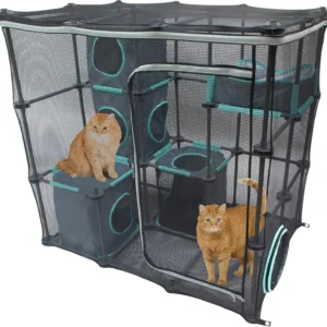Kitty City Claw kassimööbel eestvaates