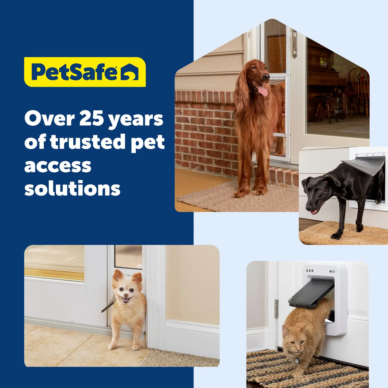PetSafe P1-4W-11 klassikalised kassiüksed detailne lähivaade 7
