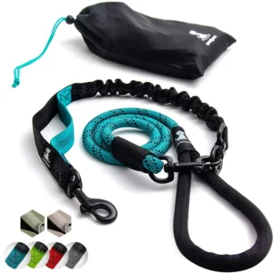 SparklyPets RL elastne koerarihm eestvaates nahk-nylon