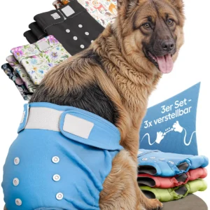HUND IST KÖNIG hundapüksikud eestvaates