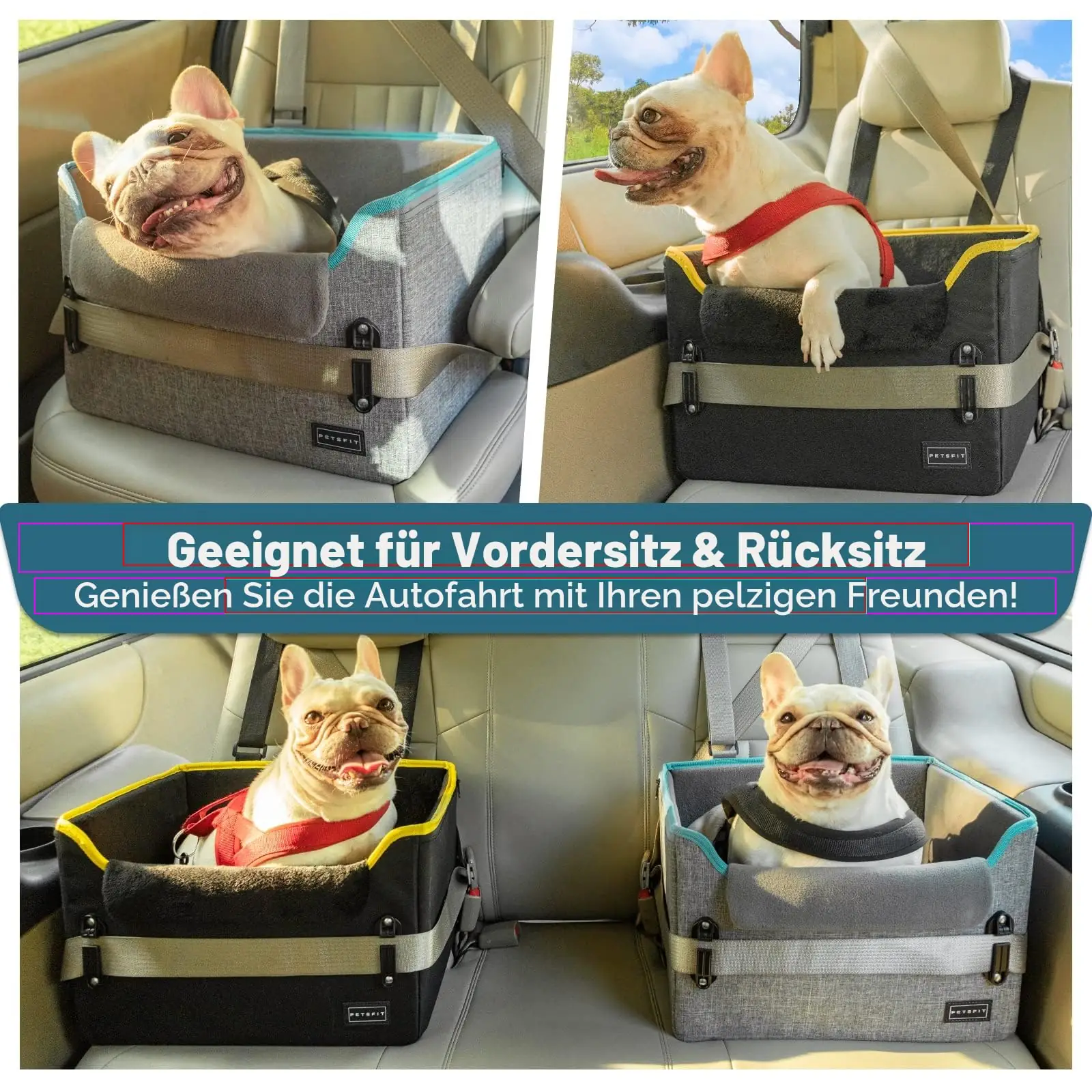 Petsfit DVCC041024 koera- ja autosied detailne lähivaade 7
