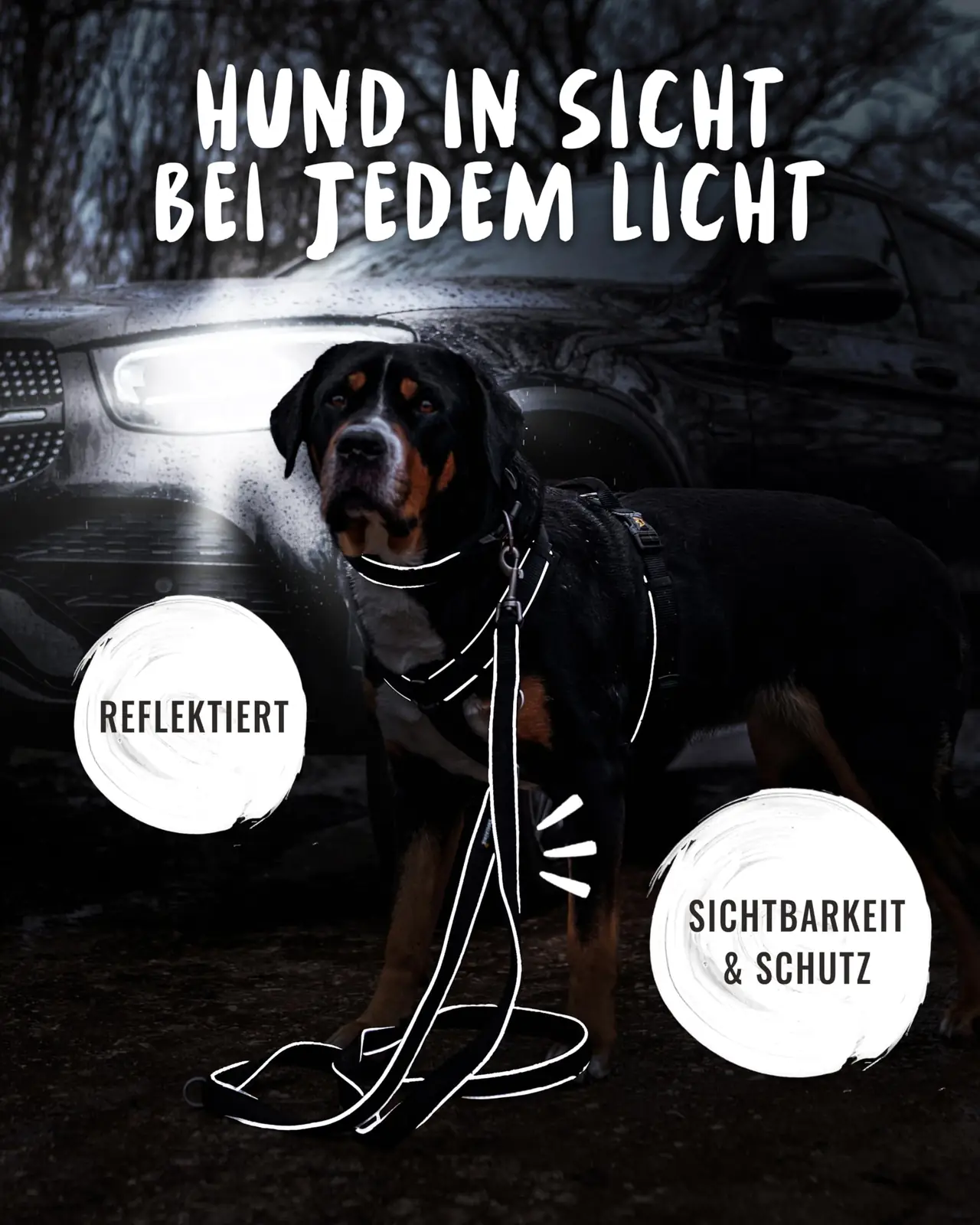 Pakendatud rihm koos EAN-iga