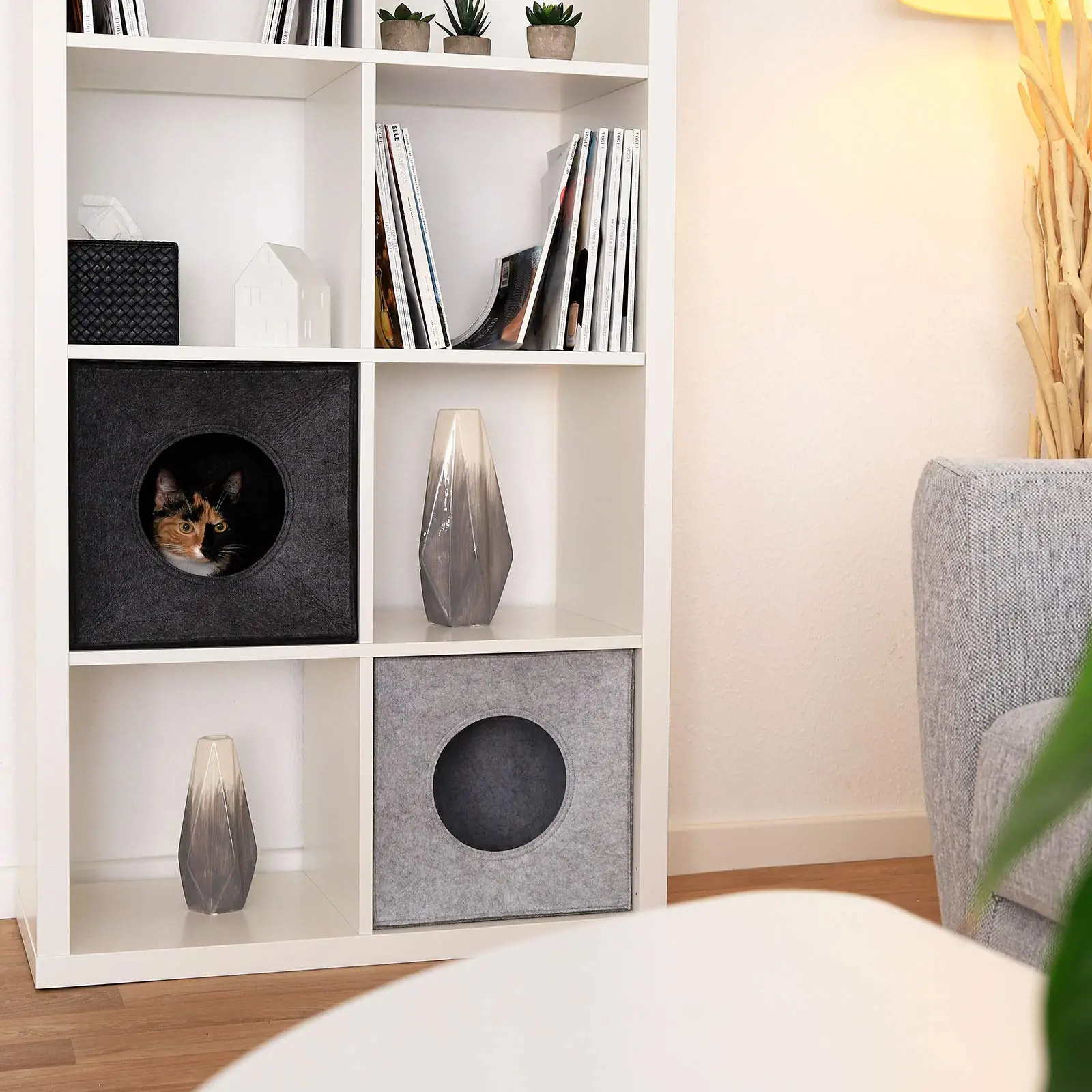 tumehall lionto kassikoda filzist