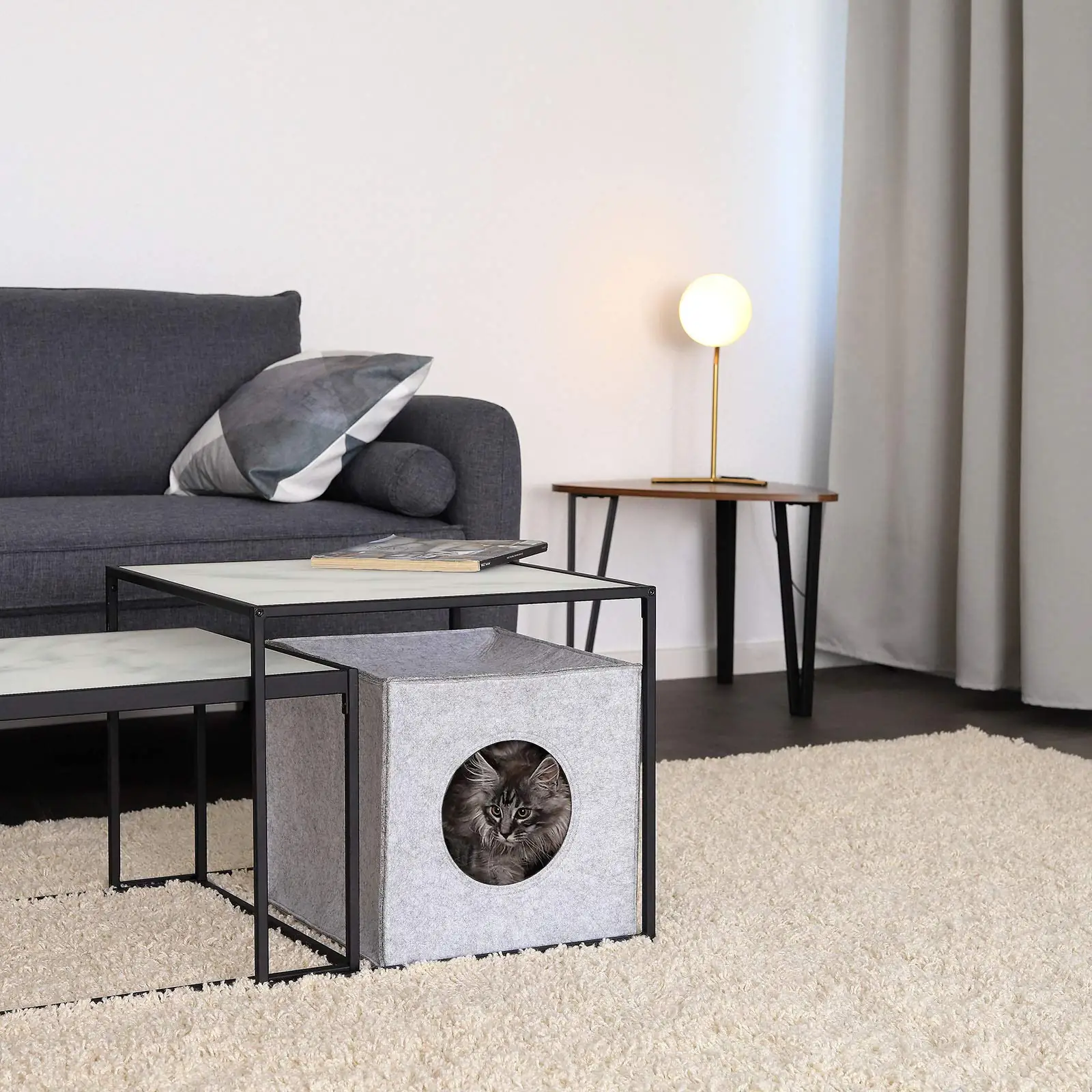 lionto CH00986 lemmikloomad tagantvaade