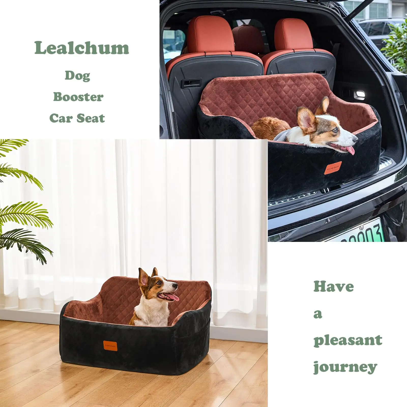 Lealchum LEBB001 koera- ja autosseated toote esivaade 6