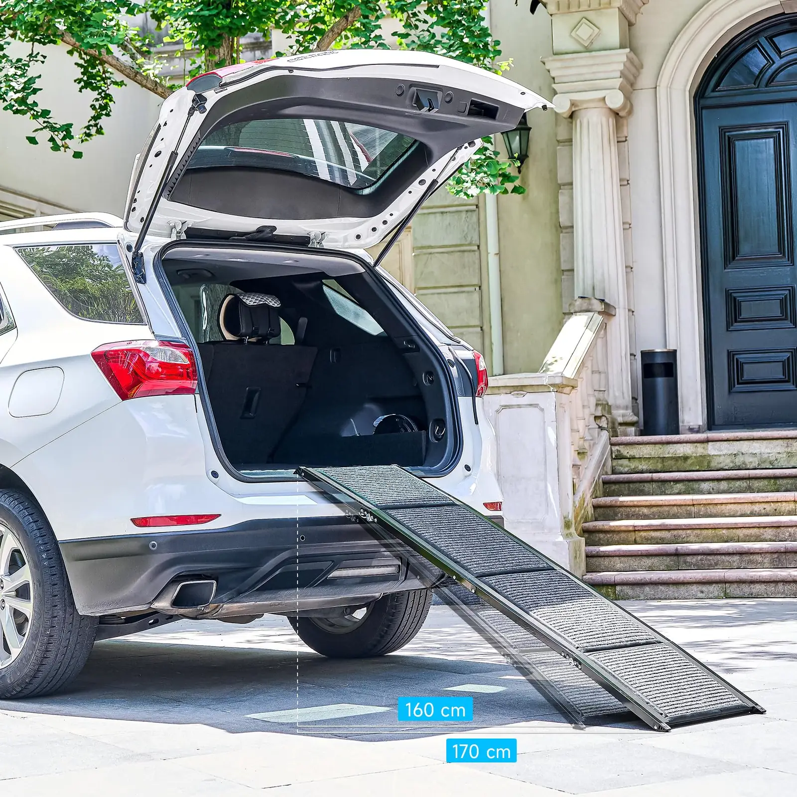 CO-Z FDR-6317 koera ramp detailne lähivaade 7