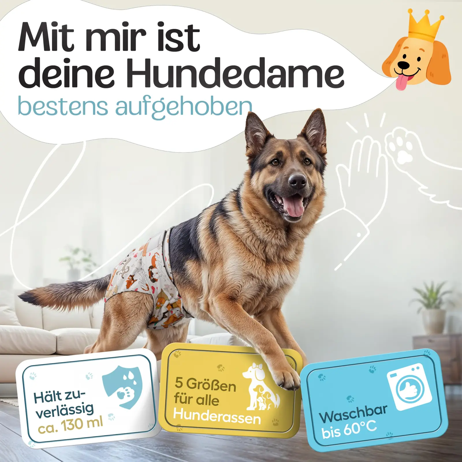 Hundehöschen materjalide lähedalt – mikrokiud ja võrk
