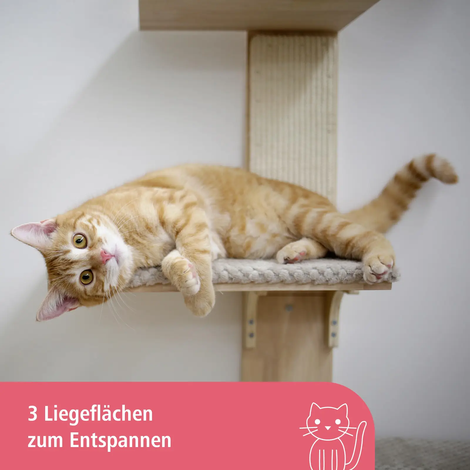 Kerbl Pet 81612 lemmikloomad toote esivaade 6