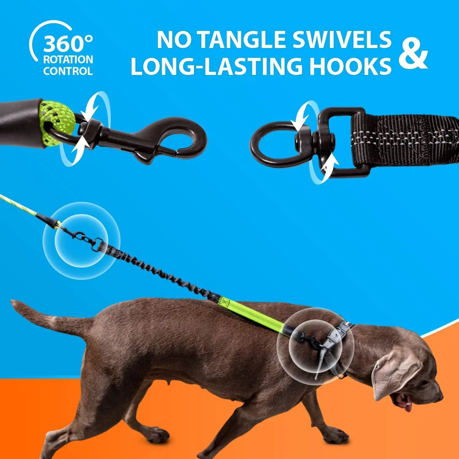 SparklyPets RL treeningrihmad detailne lähivaade 7