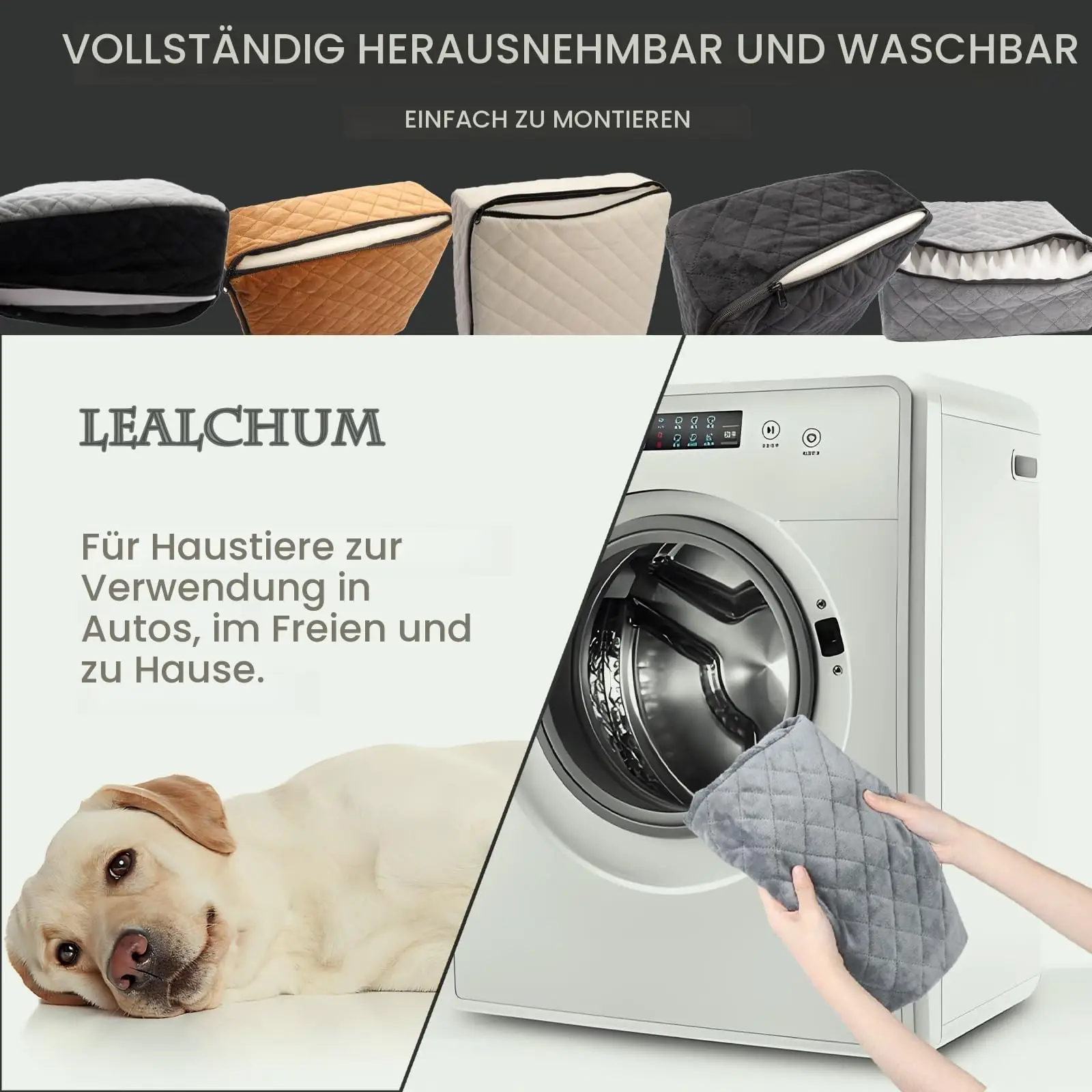 Lealchum LESFT01 koeraautotoolid tagantvaade